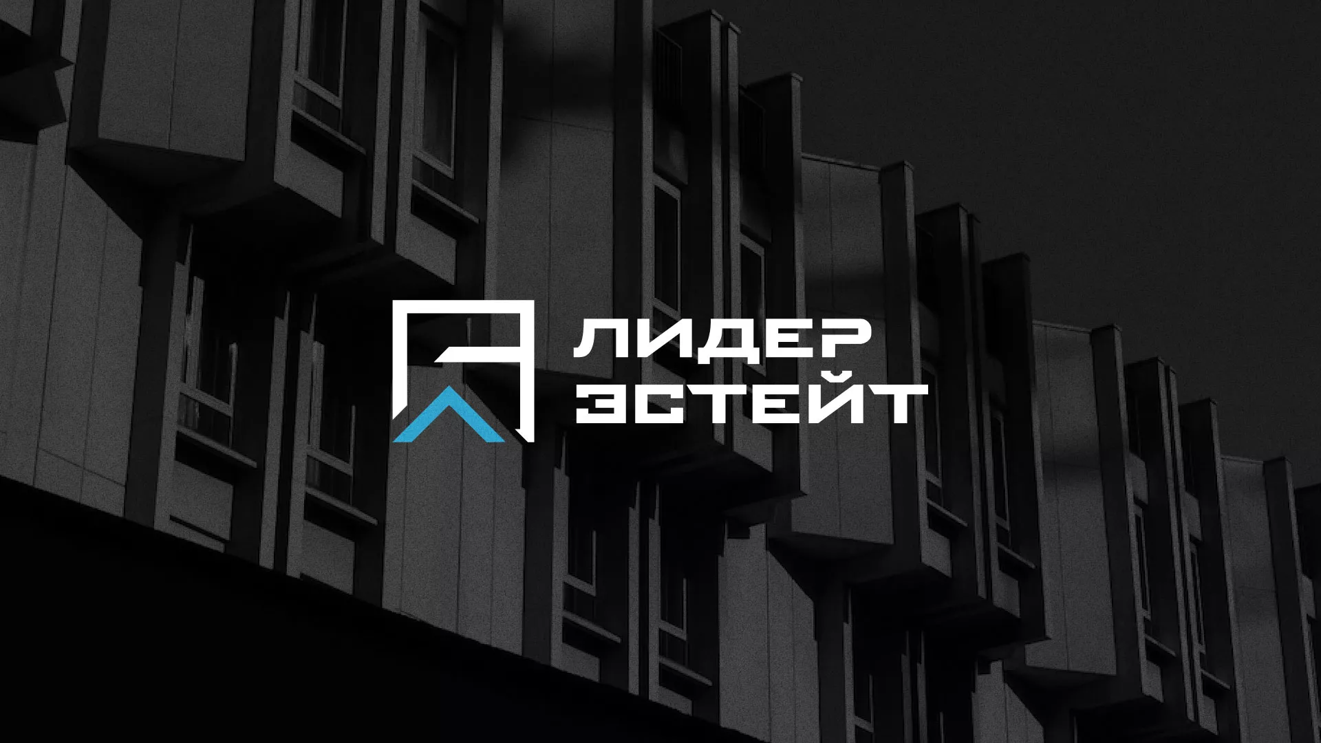Разработка логотипа агентства недвижимости «Лидер Эстейт» в Воркуте